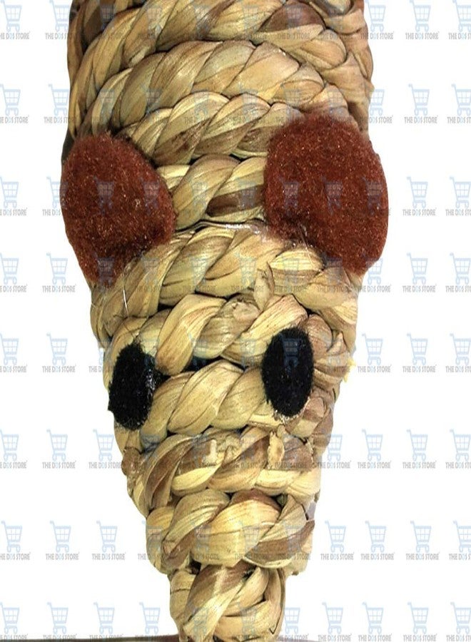 THE DDS STORE Rope Braided Mouse Pet Cat Scratch Chew Toy Teaser Supplies - Image 2